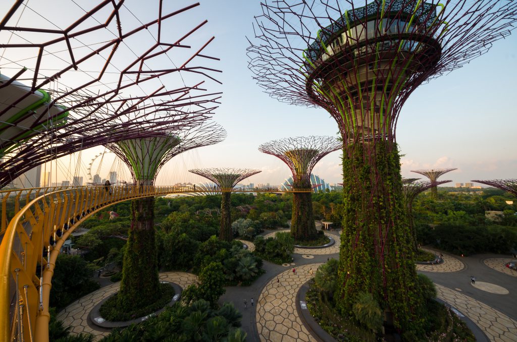 Singapore's Supertree Grove. Image credit: Kai Lehmann