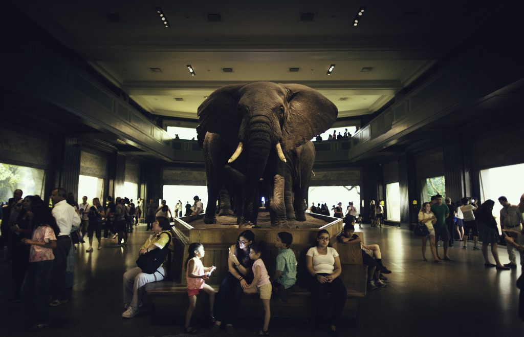 Image source: Guian Bolisay, Flickr