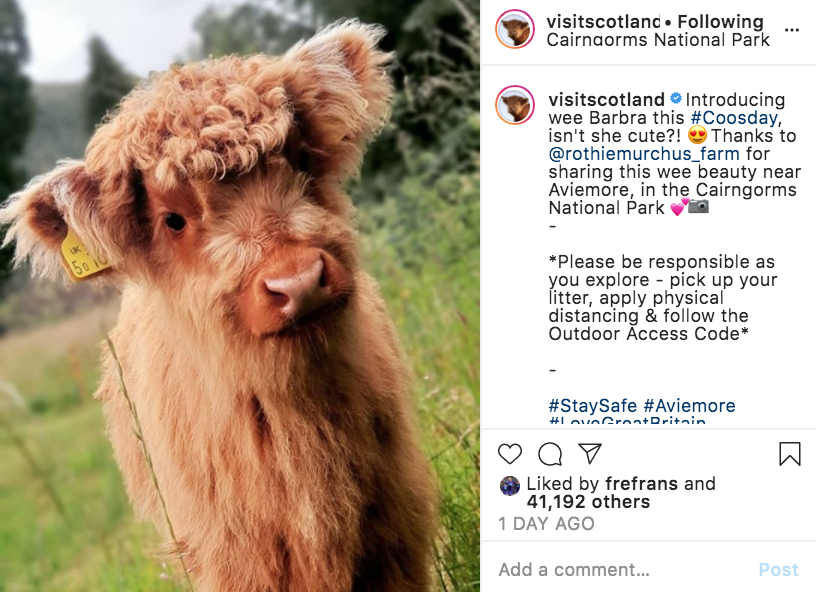 Images of wilderness spaces and iconic Scottish animals have made VisitScotland’s Instagram a source of positivity and gentler moments in a scary world. 