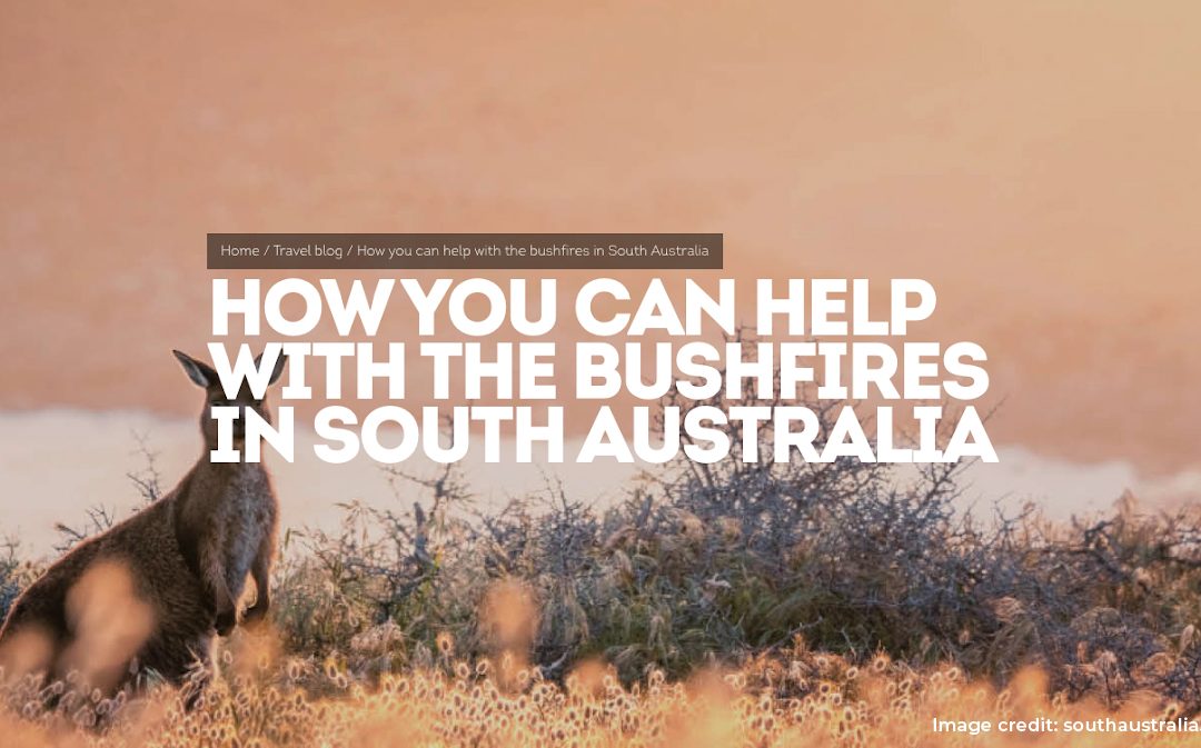 What South Australia’s bushfire response of 2020 can teach DMOs facing a crisis