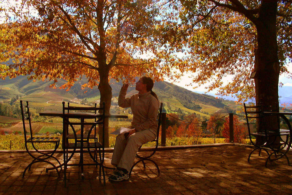 A person sits under a tree with orange leaves, in front of a mountain backdrop.