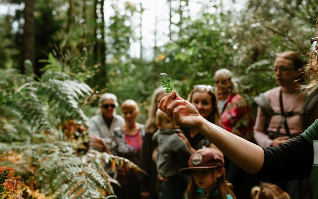 What the destination marketing world can learn from Destination Campbell River