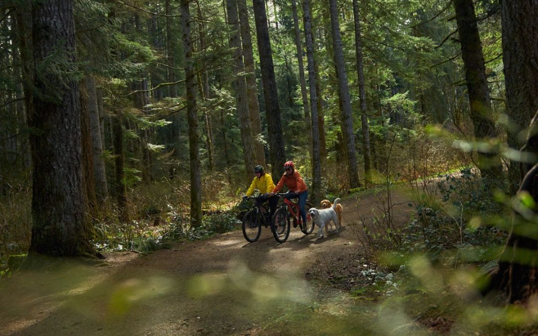 Nature’s keepers: Campbell River’s stewardship-centred campaign