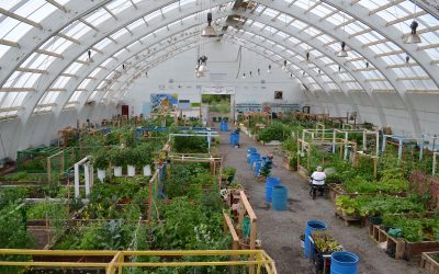 From ice rink to green oasis: Food security and sovereignty in the North
