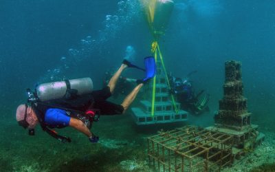 Grenada’s restoration projects create valuable visitor experiences