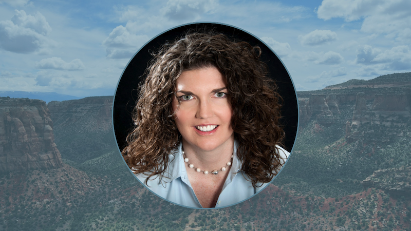 Data science at the DMO: A proactive strategy for visitor dispersion and stewardship